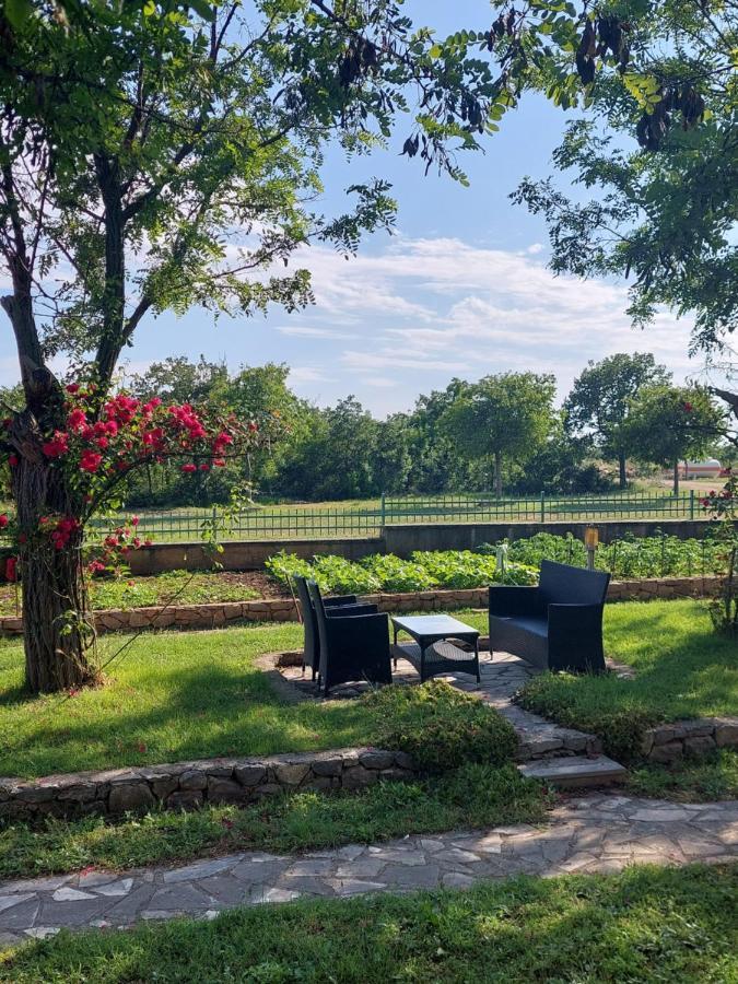 Agrotourism Galic Krka Hotel Drinovci Buitenkant foto