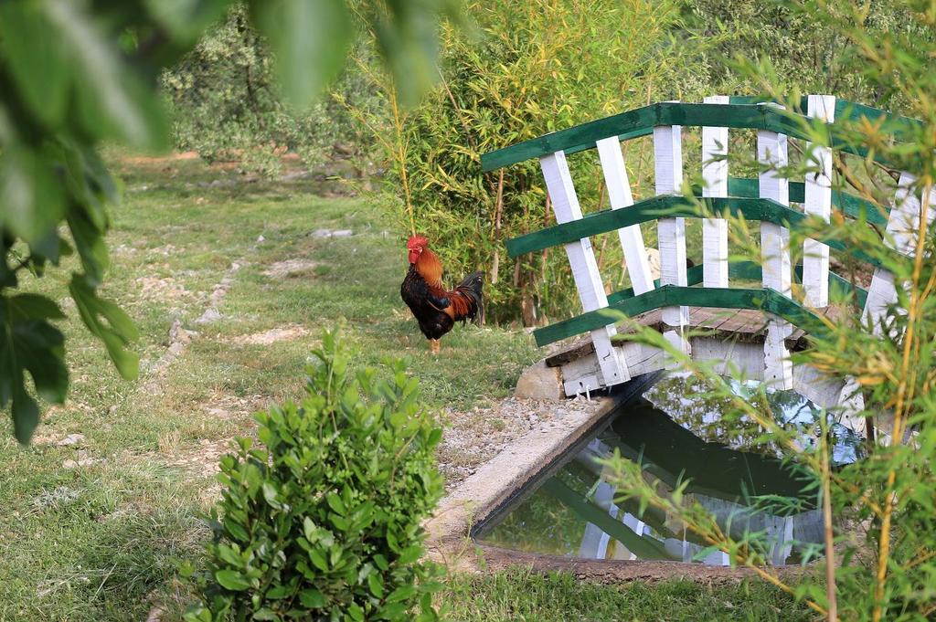 Agrotourism Galic Krka Hotel Drinovci Buitenkant foto